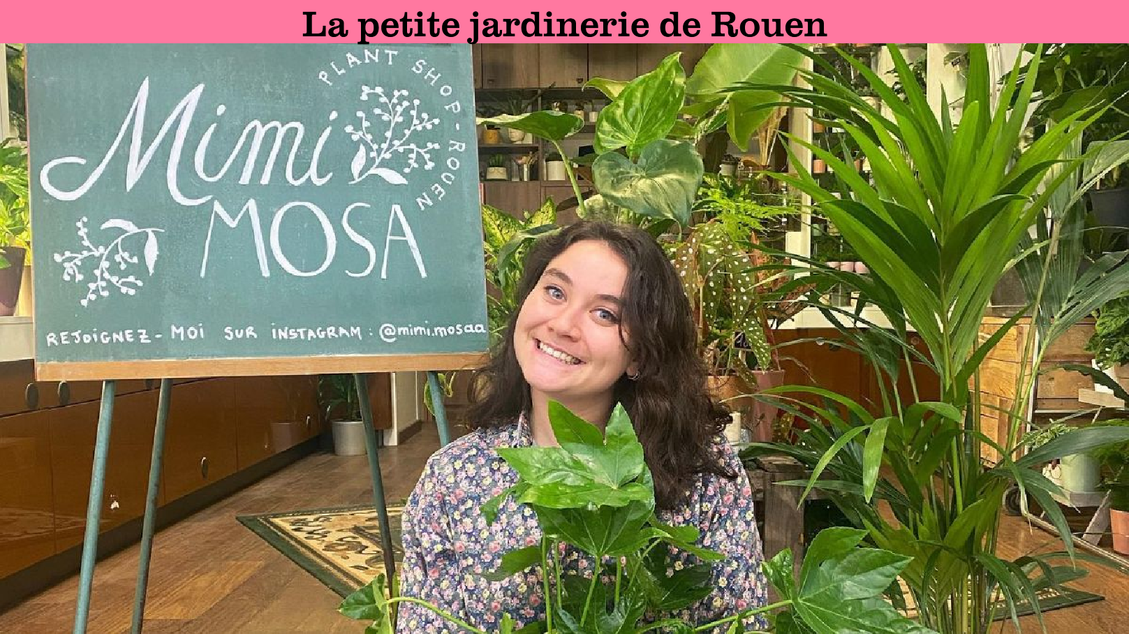 Mimimosa - image