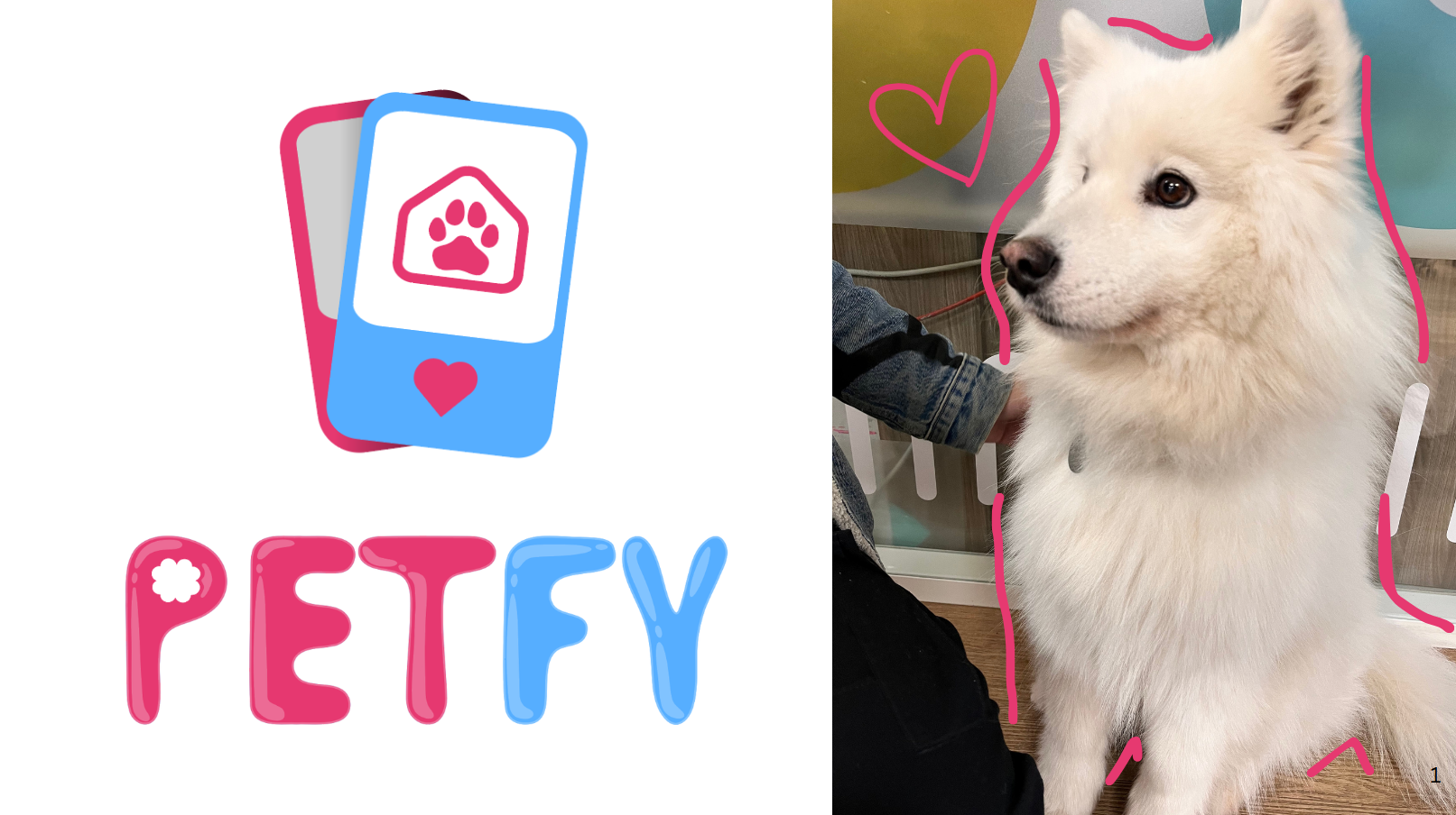 Petfy-image